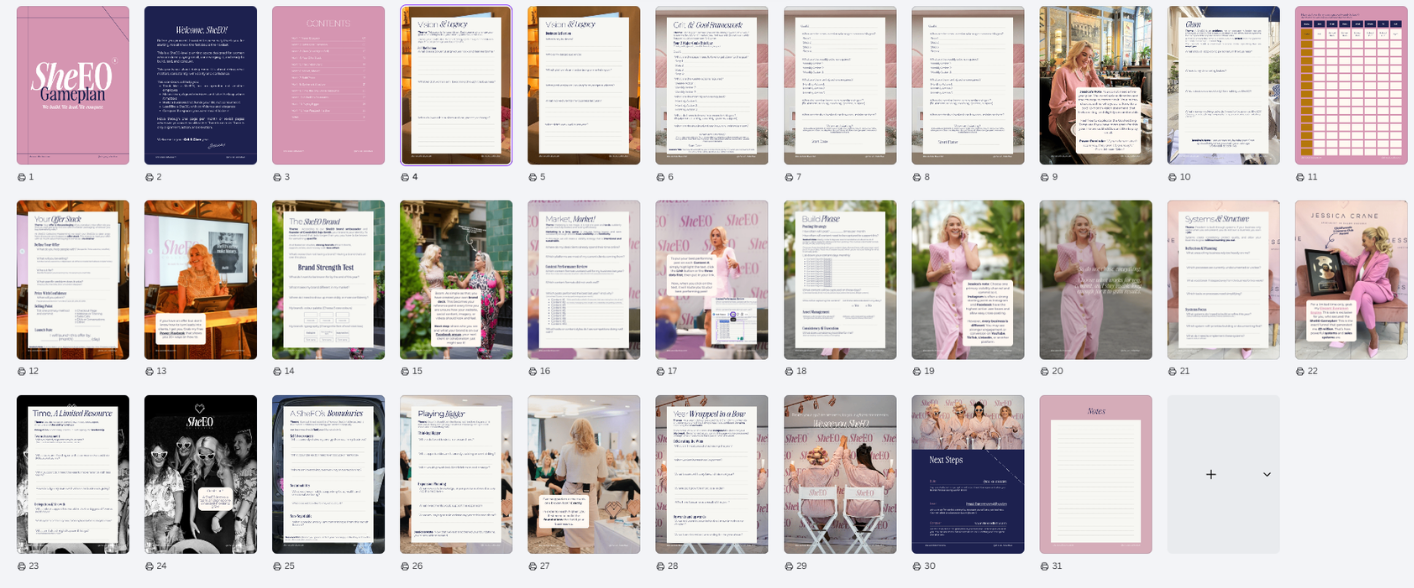 SheEO 12-Month Gameplan